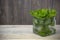 Fresh peppermint leaves banner. Summer drinks ingredient, cocktail. Garden eco mint leaves. Rustic style