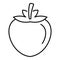 Fresh persimmon icon, outline style