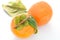 Fresh persimmon in white background