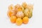 Fresh physalis fruit