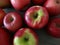 Fresh Picked Apples on Farm Table