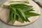 Fresh picked bunch of ramsons leaves