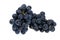 Fresh picked concord grapes