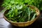 fresh picked dandelion leaves in a salad bowl