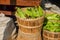 Fresh picked farm corn in a wooden basket at a local farm stand