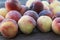 Fresh picked Fuzzy peaches gathered on a table