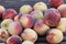 Fresh picked Fuzzy peaches gathered on a table