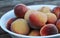 Fresh picked Fuzzy peaches gathered on a table