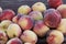 Fresh picked Fuzzy peaches gathered on a table