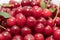 Fresh picked harvested sour cherries in a white bowl on a kitchen table