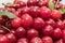 Fresh picked harvested sour cherries in a white bowl on a kitchen table