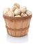 Fresh picked mushrooms in an bushel basket over a white background