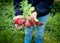 Fresh picked organic radishes