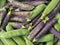 Fresh picked peas - purple and green pods.