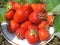 Fresh picked strawberries on a plate on ground