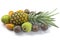 Fresh pineapple and fruits on white background