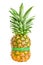 Fresh pineapple with green measuring tape isolated