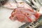 Fresh Pink Sea Bream fish for sale in fish market in Portugal, close up on ice