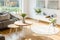 Fresh plants and flowers placed in bright living room interior w