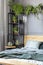 Fresh plants placed in grey room interior with metal rack with d
