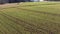 fresh plowed and sown field filmed with a pan downwards