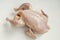 Fresh plucked chicken for cooking  lies on a white background.