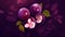 Fresh plums background, top view closeup, farm natural organic fruits. AI generated.