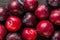 Fresh plums on dark stone background, macro. Healthy summer fruits
