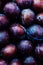 Fresh plums on a dark wood background. Top view image. Ripe Plu