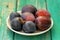 Fresh plums and live black caterpillar in white plate on turquoi