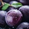 fresh plums with water droplets on black background