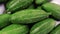 Fresh pointed gourds or trichosanthes dioica vegetables