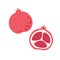 Fresh pomegranate. Exotic and tropical fruit. Healthy food. Vector illustration in flat style