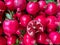 Fresh pomegranates in a box, close-up as a background.