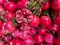 Fresh pomegranates in a box, close-up as a background.