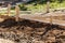 Fresh Pool Coping Cement Drying Within Wood Framing