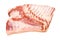 Fresh pork meat Breast with bone
