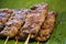 Fresh portion of shish kebab