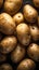 Fresh Potatoes illustration. Generative AI