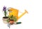 Fresh Potted Springtime Plants With Yellow Waterin