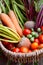 Fresh produce from a vegetable garden gathered in a basket