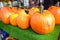 Fresh pumpkin selling at Portobello Market in Portobello Road, Notting Hill, UK