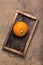 Fresh pumpkin on a wooden burned rustic texture for background.
