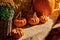 Fresh pumpkins on farm market still life