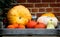 Fresh pumpkins and squashes inside wooden crate against a farm barn red brick wall background