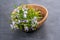 Fresh purple blooming rosemary twigs from the herb garden in an olive wood bowl