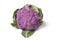 Fresh purple cauliflower
