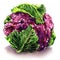 Fresh purple cauliflower with green leaves, isolated object, watercolor illustration on white