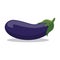 Fresh purple eggplants. Tasty vegetable. Eggplant violet icon.