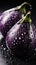 Fresh purple eggplants with water drops on a black background